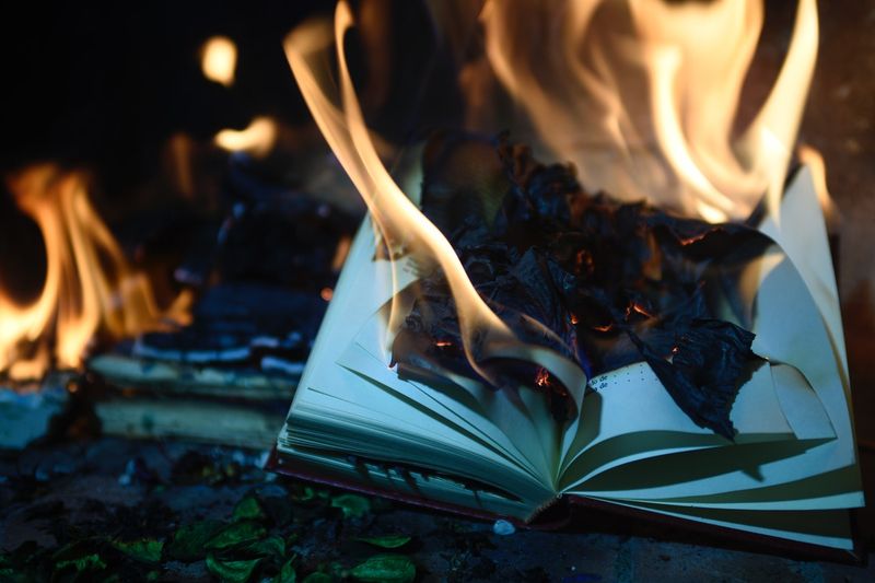 Fahrenheit 451 by Ray Bradbury (1953)