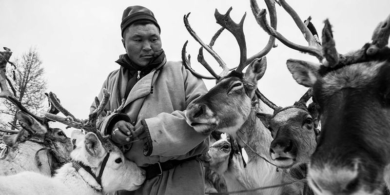 The Tsaatan (Mongolia)