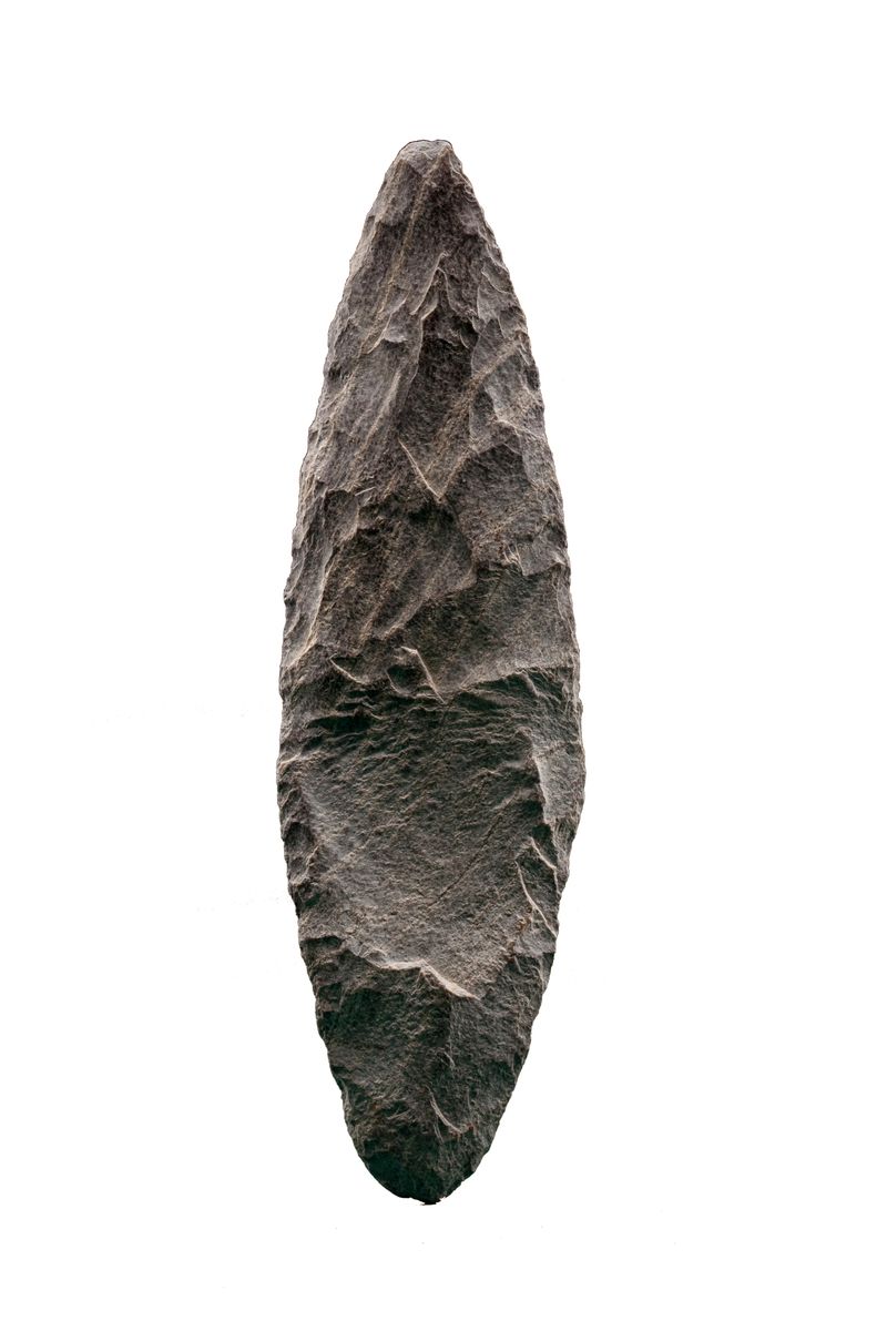 The 