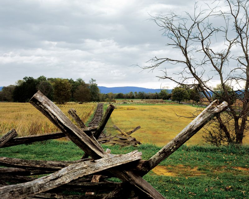 The Maryland Woods Mystery