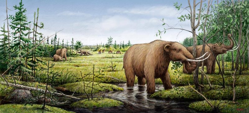 The Abrupt Younger Dryas Ice Age