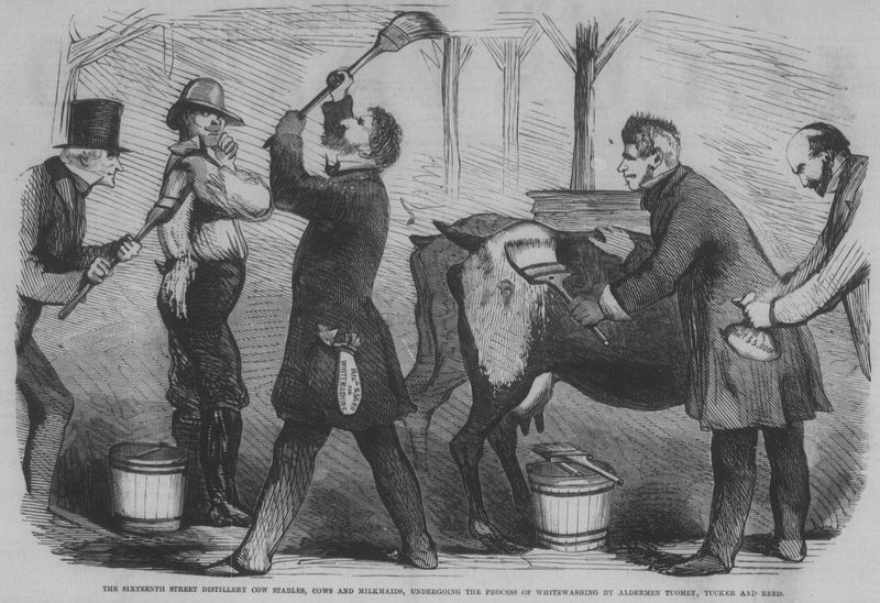 The Milk Wars & Fake 'Country Milk'