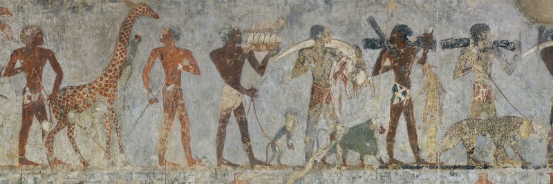 The Land of Punt