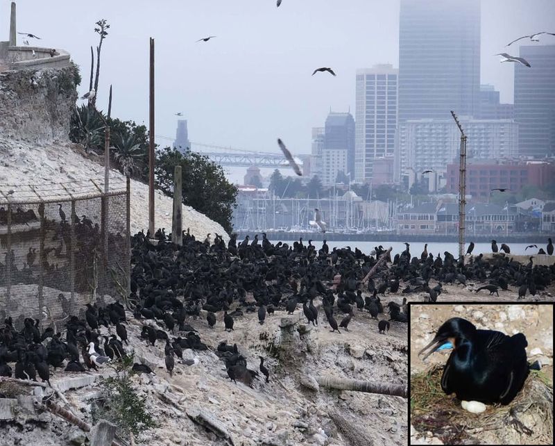 It’s Now a Major Wildlife Sanctuary