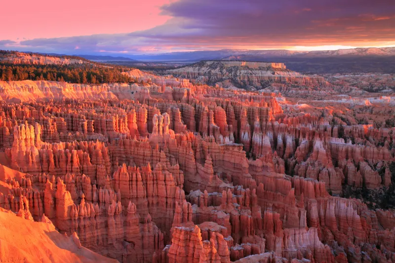 Bryce Canyon Hoodoos (USA)