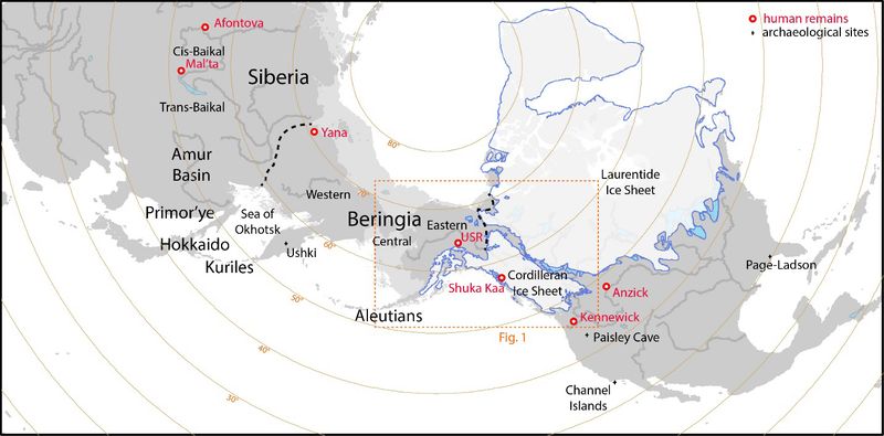 The Bering Land Bridge Theory Still Holds
