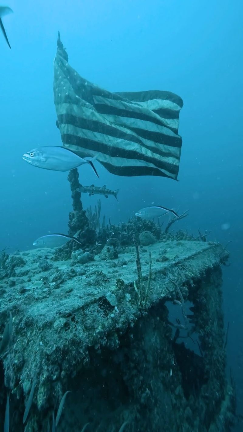 The Union Shipwreck of South Carolina
