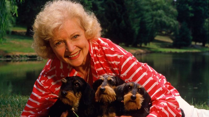 Animals: The Most Honest Companions