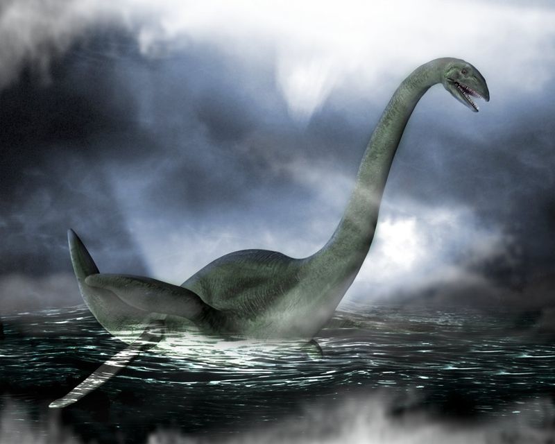 A Monster or Myth?