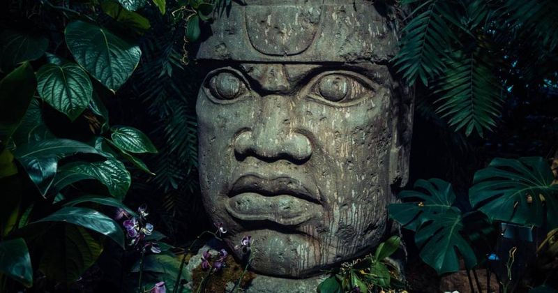 The Olmecs