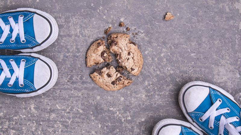 The 5-Second Rule for Dropped Food