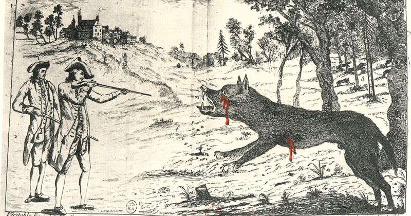 The Beast of Gévaudan
