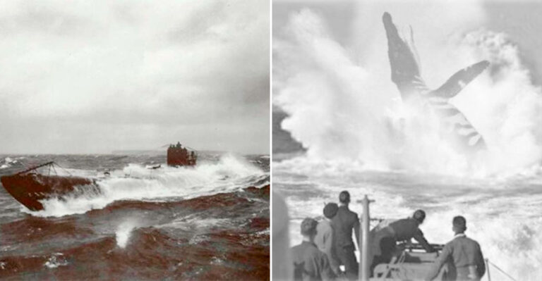 The WWI Sea Monster That Took Down a German U-Boat—And Vanished