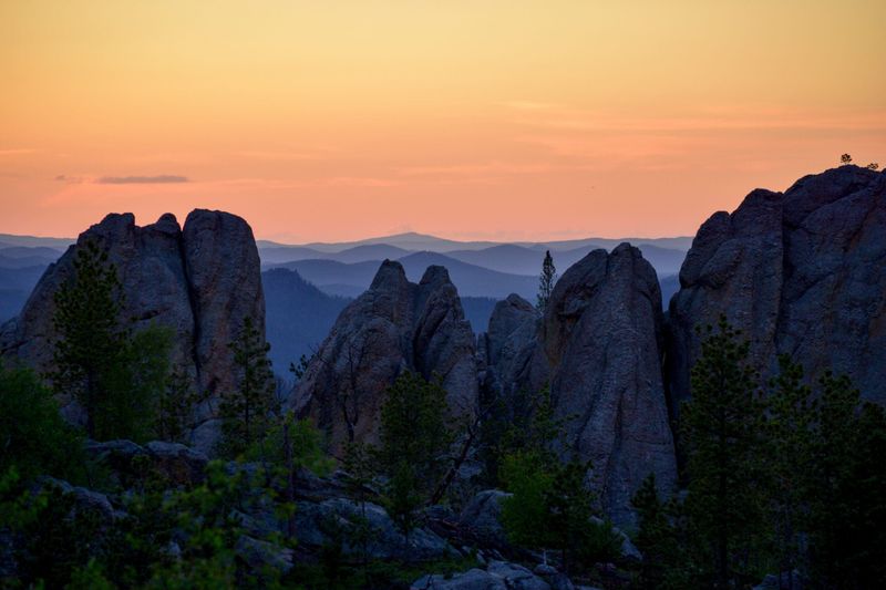 The Black Hills Betrayal