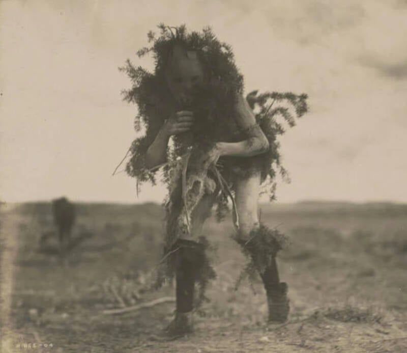 The Skinwalker (Navajo)