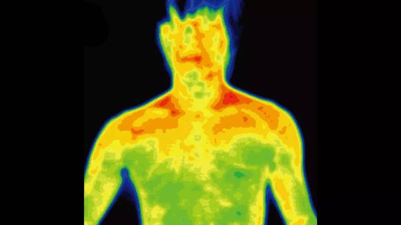 The Human Body Glows (a Little)