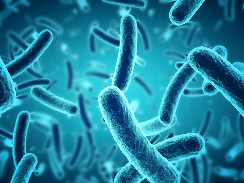 Germ Theory (Marcus Terentius Varro, 1st Century BCE)