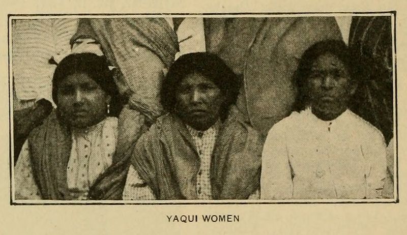 Their Oral History Survived Underground