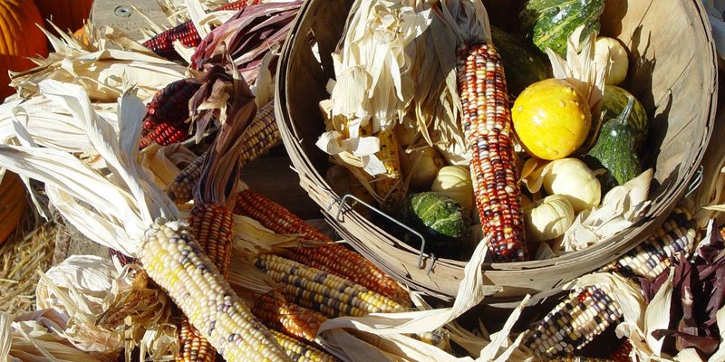 Meat Was a Luxury—Not a Staple