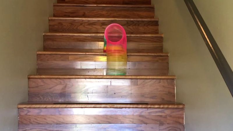 Slinky – The Endless Staircase Hypnotizer