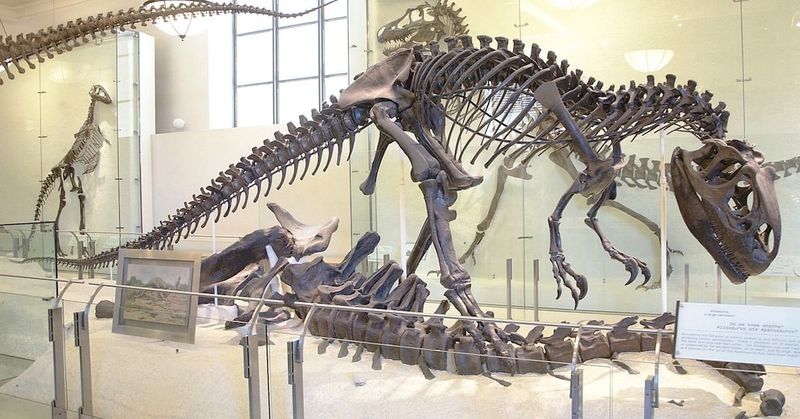 The Bone Wars: Paleontology's Fiercest Rivalry