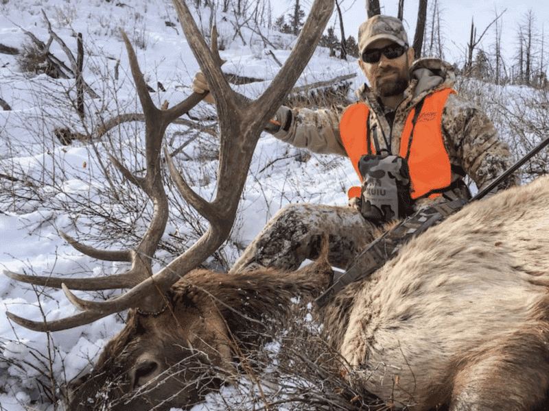 Elk & Big Game Hunting