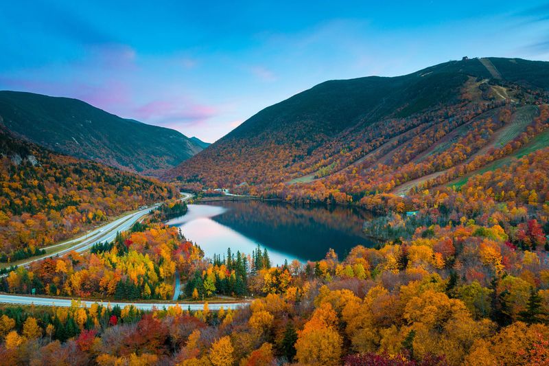 New Hampshire's Strategic Obscurity