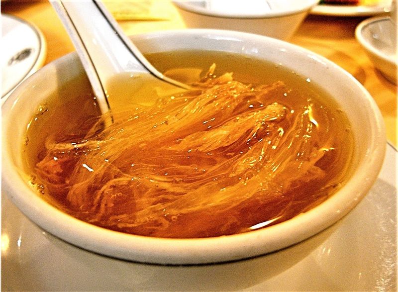 Shark Fins