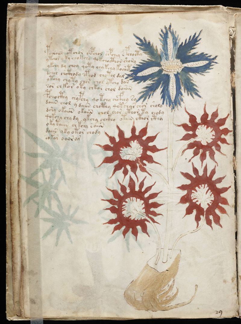 The Voynich Manuscript Creator