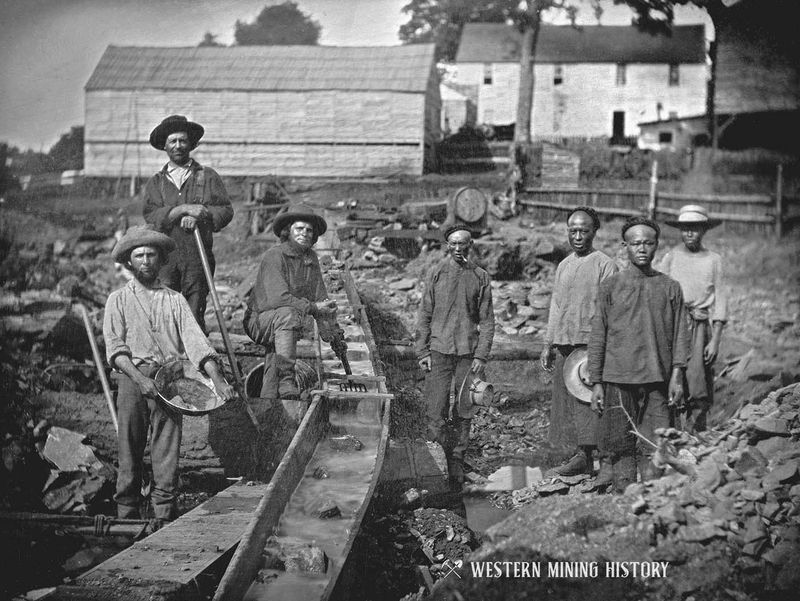 The “Forty-Niners” Missed the Real Boom
