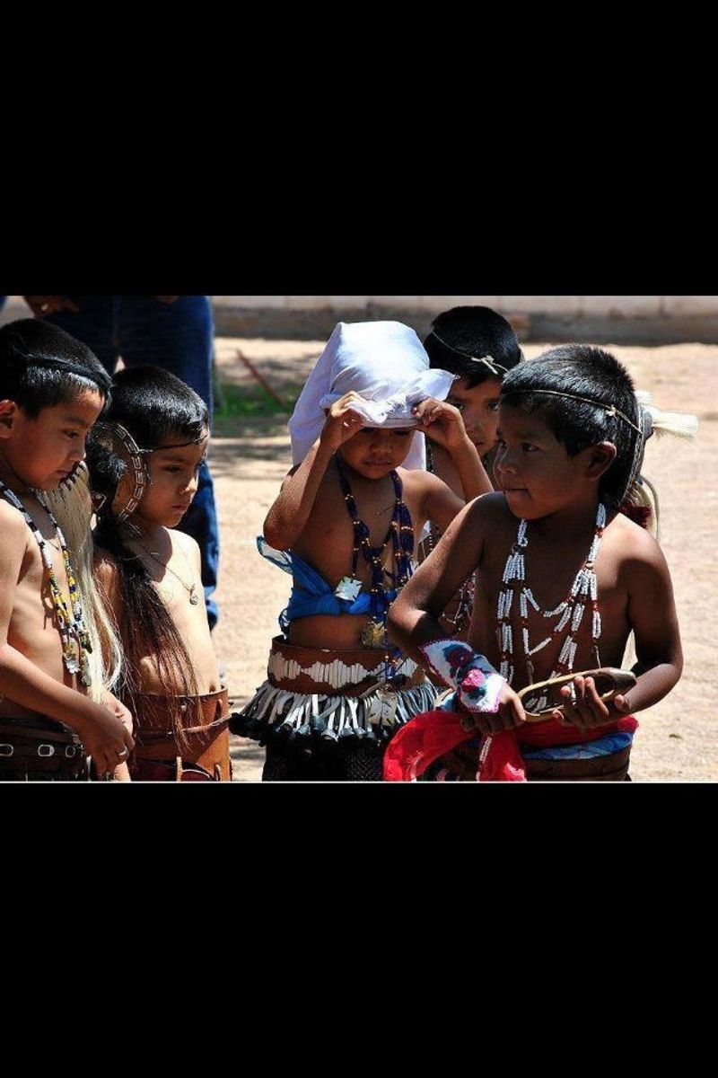 Children Were Taken and Reeducated