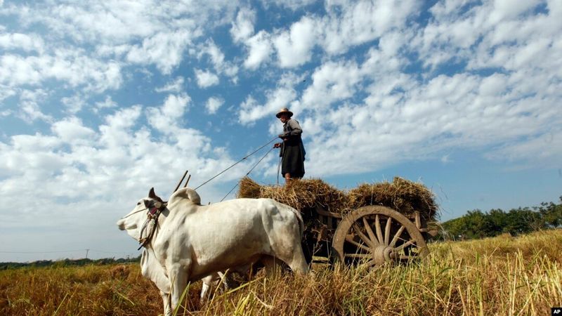 Make hay while the sun shines.