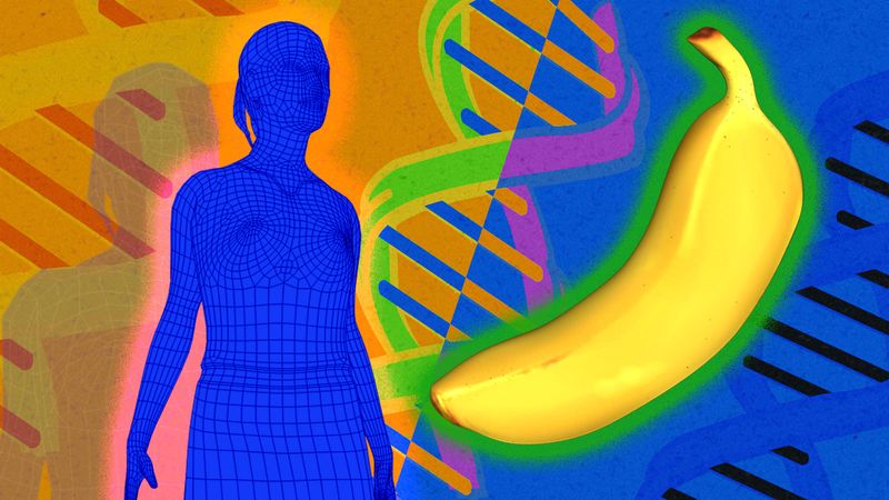 We Share About 60% of Our DNA with Bananas