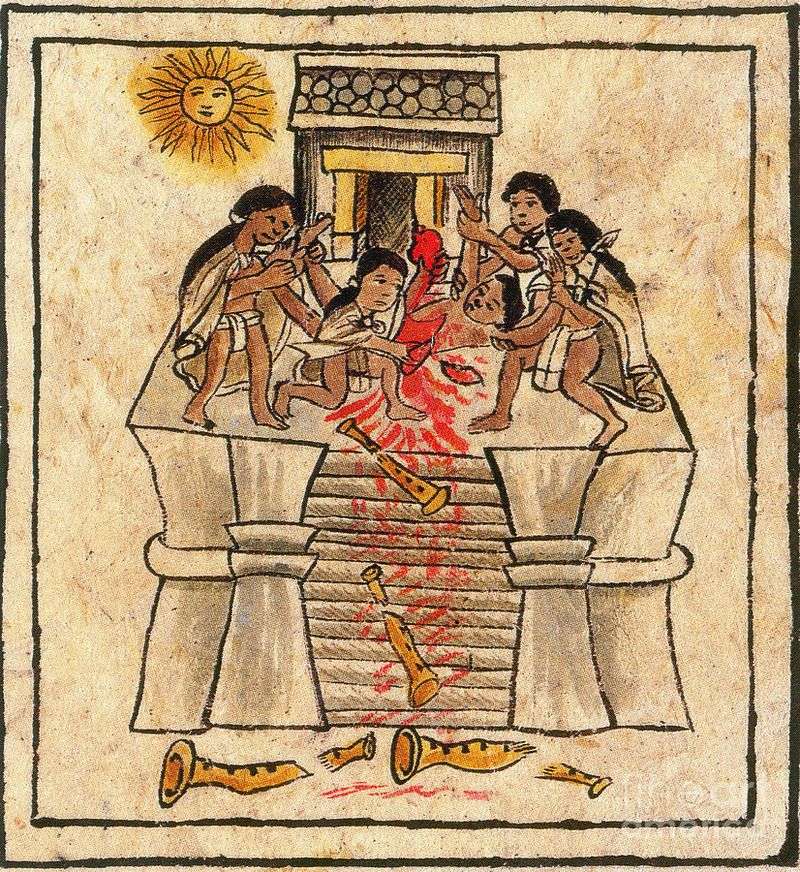 The Aztecs (14th–16th Century, Mexico)
