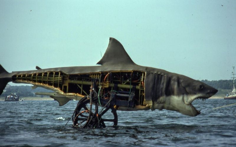 The Shark Was Named 