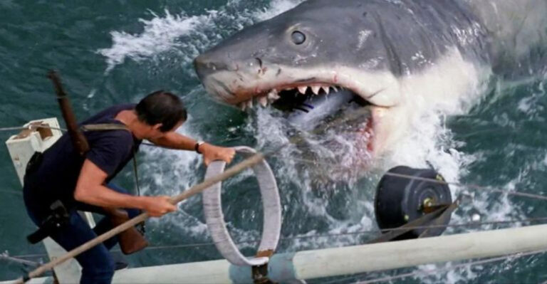 10 Small Details You May Have Missed In Jaws