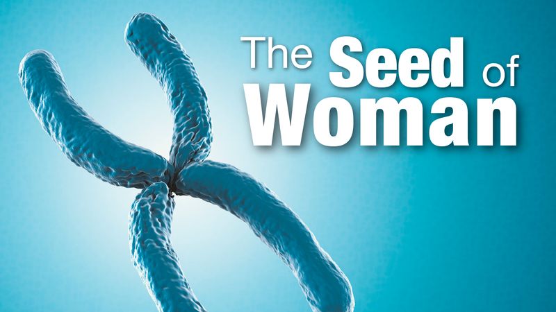The Seed of the Woman (Genesis 3:15)