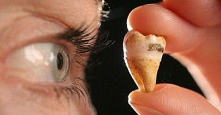 13 Weirdest Celebrity Items Ever Sold