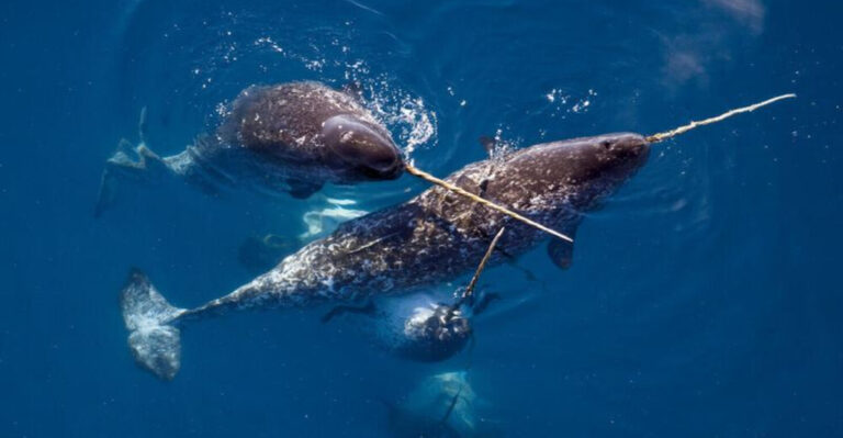 15 Mythical Creatures That Were Proven to Be Real