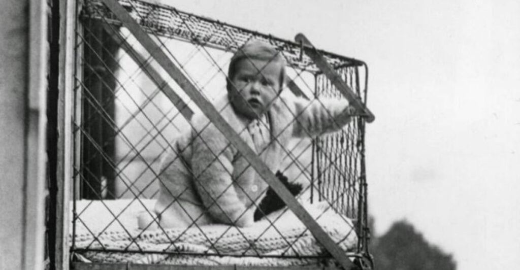 15 Weirdest Fads from History That Make TikTok Trends Look Normal