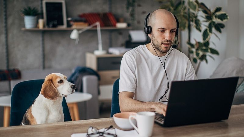 No Remote Work Allowed