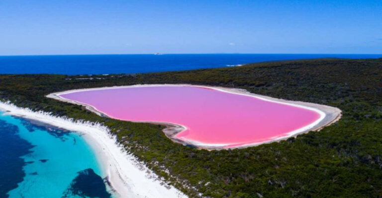 17 Natural Phenomena That Scientists Still Can’t Fully Explain