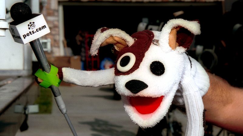 Pets.com (The $300 Million Sock Puppet)