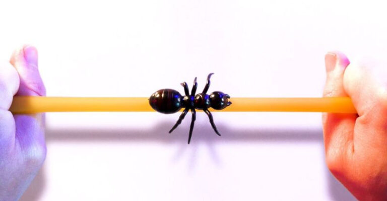 20 Paradoxes That Still Baffle Scientists