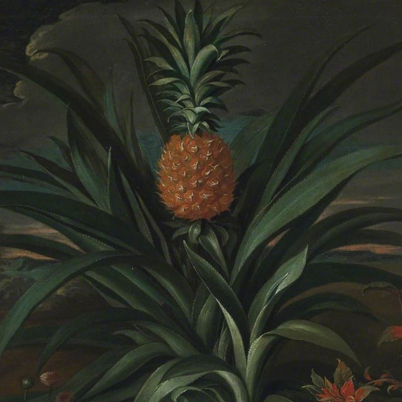 Pineapples