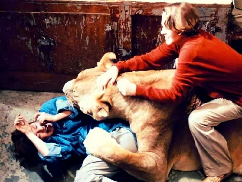 The Most Dangerous Movie Ever Made
