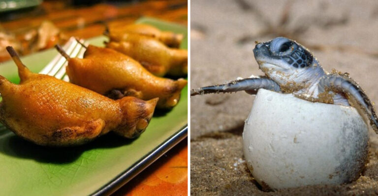 23 Banned Foods That Are Still Eaten Illegally