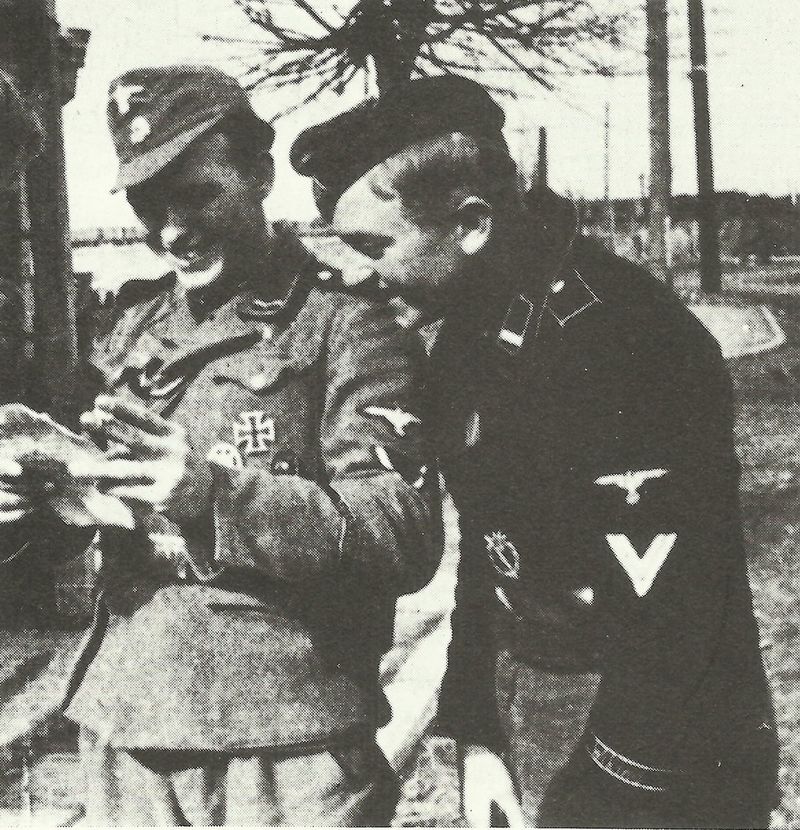 5th SS Panzer Division 