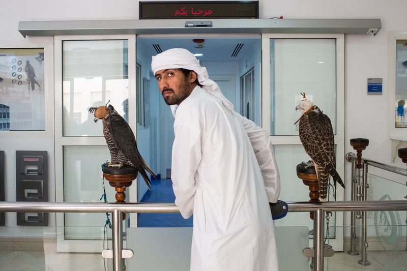 A $12 Million Falconry Center (Qatari Royal Family)
