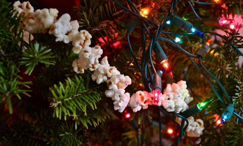 Handmade Popcorn & Cranberry Garlands